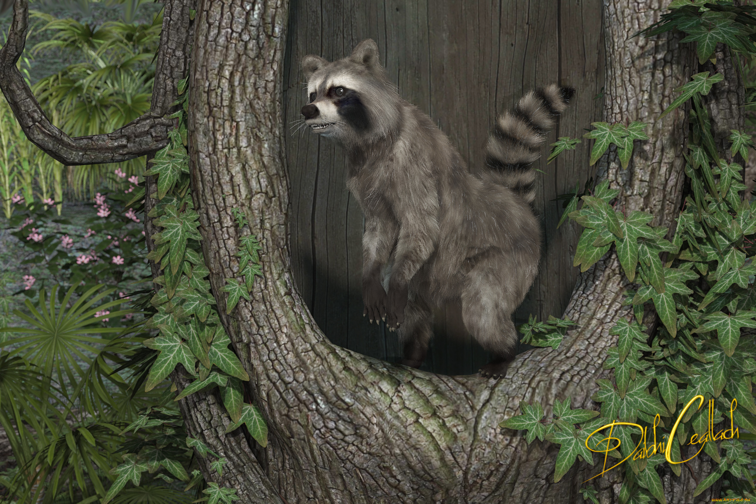 3 ,  , animals, , , 